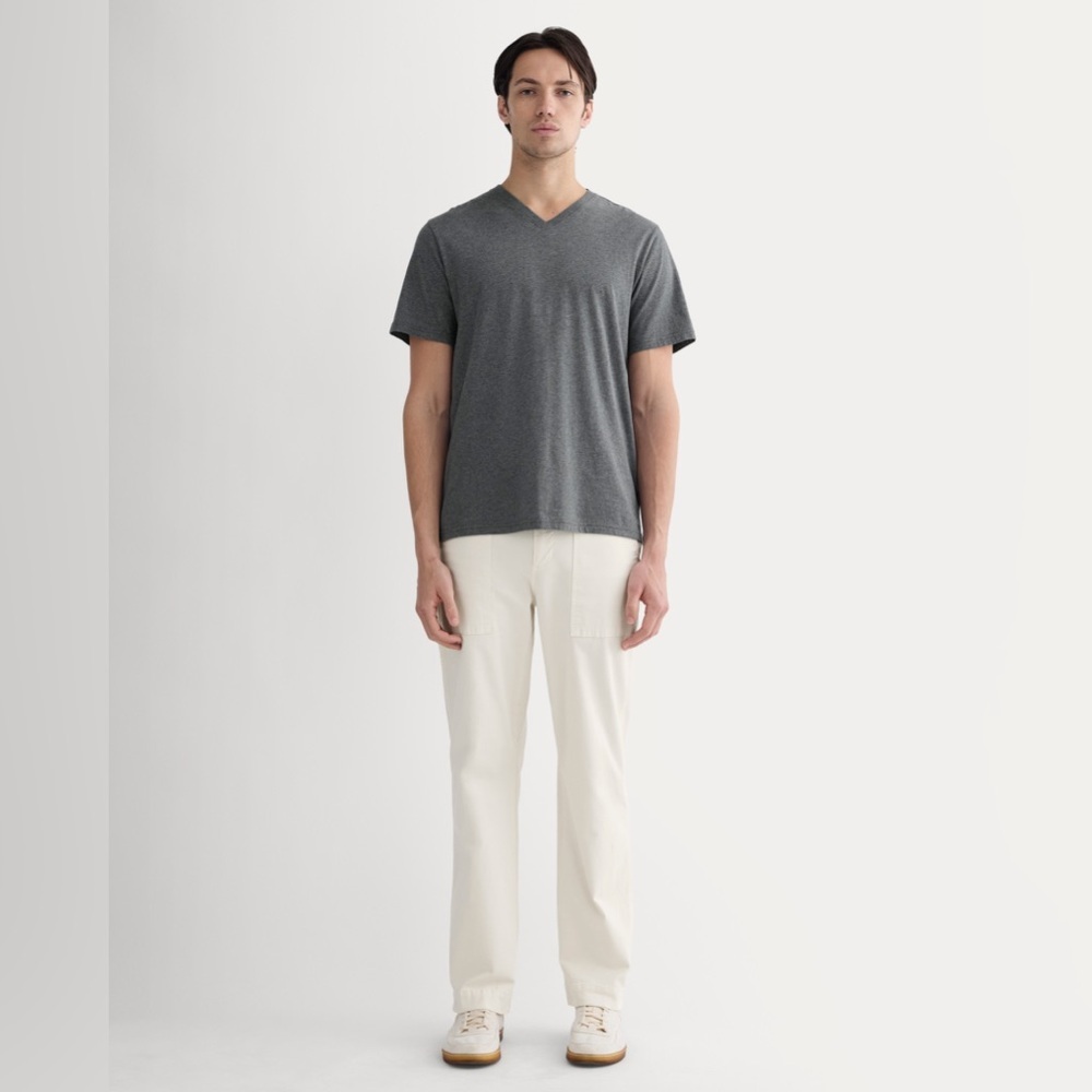Everlane Organic Cotton Charcoal Gray Essential V-Neck Tee Shirt Size Large